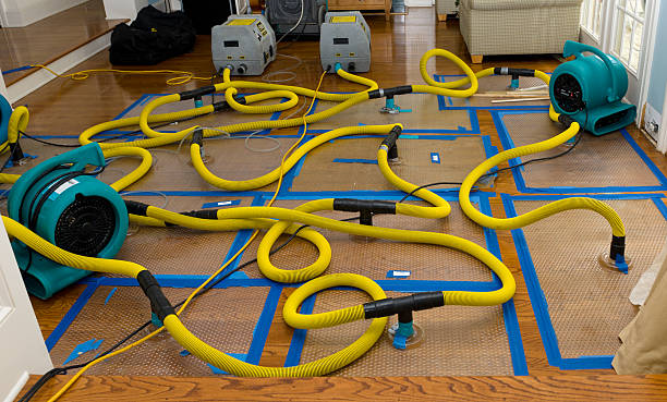 Professional Burst Pipe Water Damage technician working in Ripley, OK